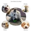 Pet Dog Toy Interactive Rubber Balls Pet Dog Cat Puppy Chew Toys Ball Teeth Chew Toys Tooth Cleaning Food Balls Hond Spel