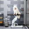 Hydraulic Dog Pet Grooming Table Heavy Duty Big Size Z-Lift Pet Grooming Table