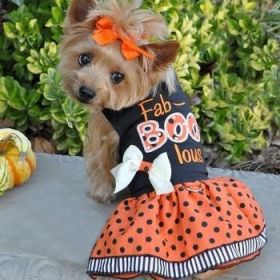 Halloween Fab BOO Lous Dress and Matching Leash (size: X-Small)