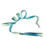 American River Ombre Leash