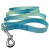 American River Ombre Leash