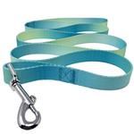 American River Ombre Leash (Color: Aruba Blue, size: 5/8 inches wide x 4 feet long)