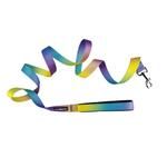 American River Ombre Leash (Color: Lemonberry Ice, size: 5/8 inches wide x 4 feet long)