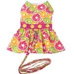 Citrus Slice Harness Dress with Matching Leash (size: medium)