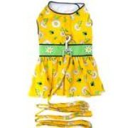 Ladybugs and Daisies Dog Dress with Matching Leash (size: X-Small)