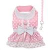 Polka Dot and Lace Dog Dress Set with Leash