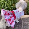 Strawberry Picnic  Harness Dress with Matching Leash